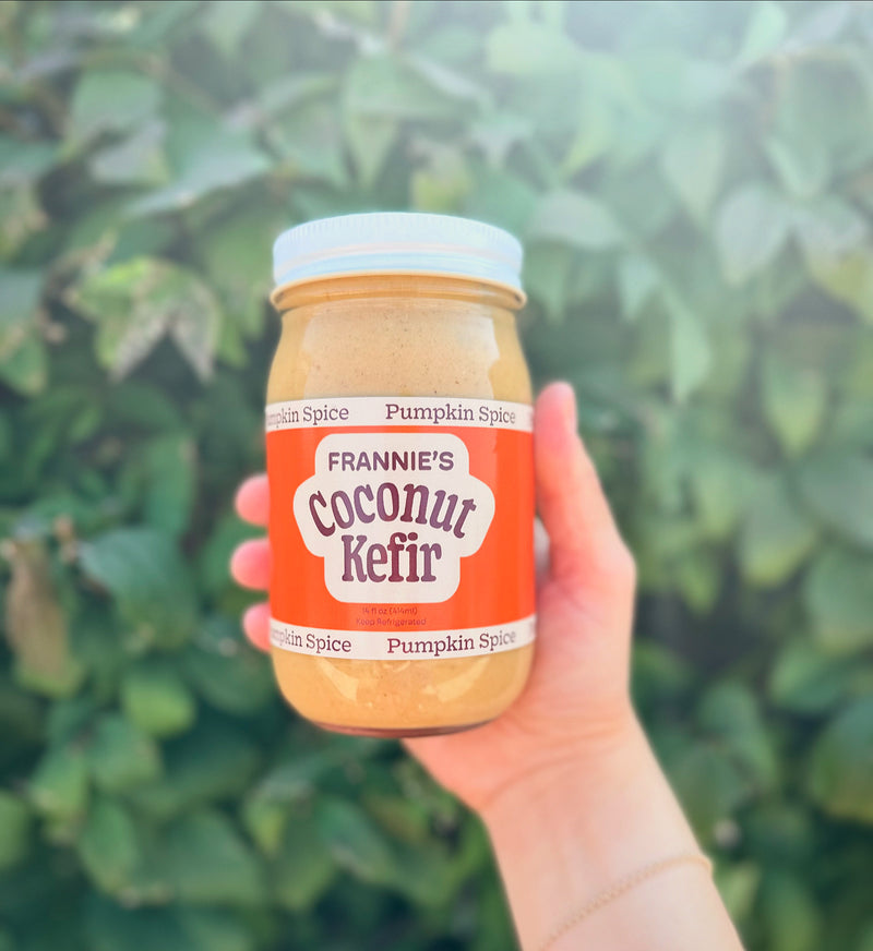 Pint - Seasonal Pumpkin Spice Coconut Kefir