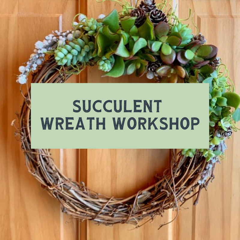 12/8/24 Succulent Wreath Workshop