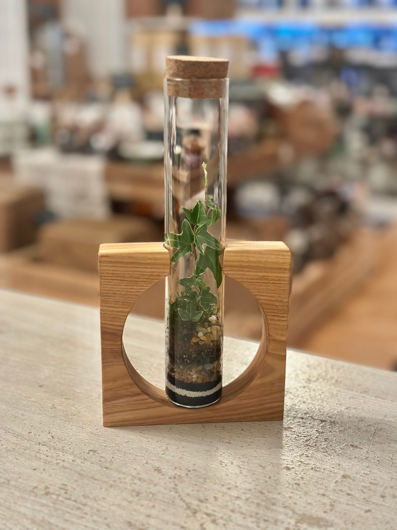 Terrarium 